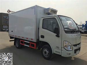 国五跃进小福星冷藏车